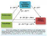 Iranian and Swedish adolescents: differences in personality traits and well-being